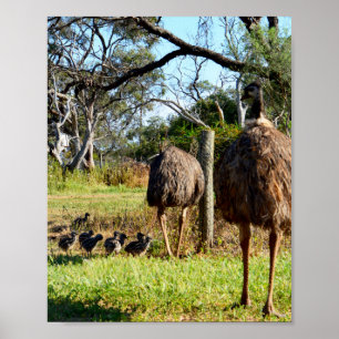 Orgulhosos Pais Emu, Poster