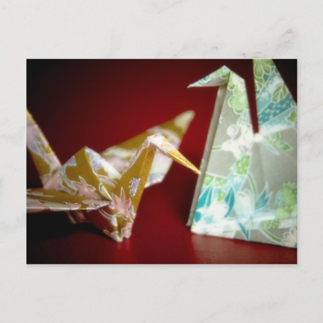 Origami Cranes - Cartão postal (Frente)