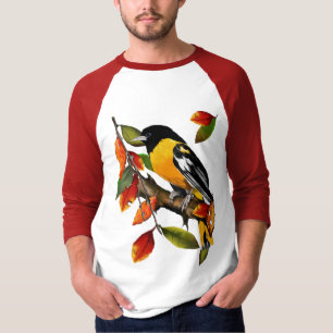 Oriole em camisas da queda