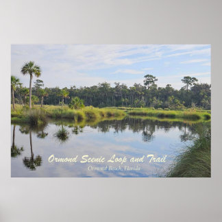 Ormond Scenic Loop Poster
