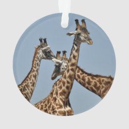 Ornamento 1 do safari