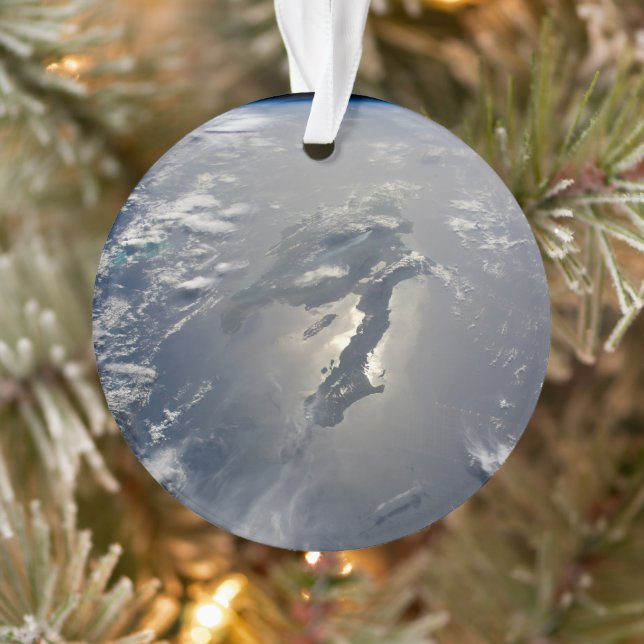 Ornamento A Ilha De Hispaniola Com Sunglin (Árvore)