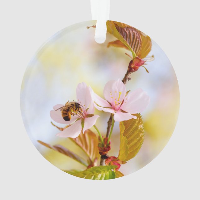 Ornamento Abelha Em Uma Flor De Cerejeira (Verso)