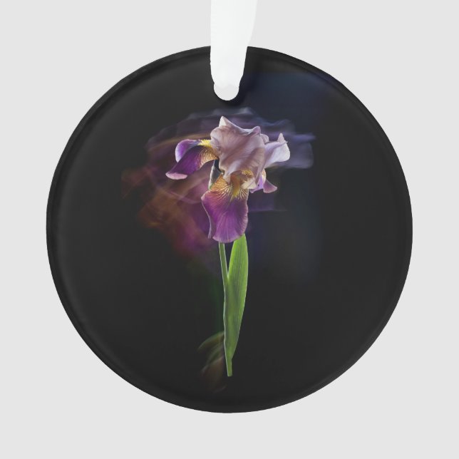 Ornamento Abstract Iris Flower – Elegant Floral Art (Frente)