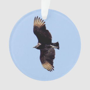 Ornamento Abutre preto