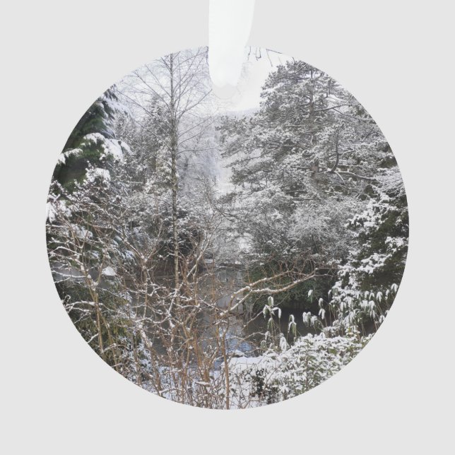 Ornamento acrílico de Árvores Neves (Frente)