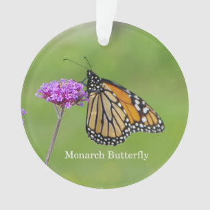 Ornamento acrílico de borboleta monarca