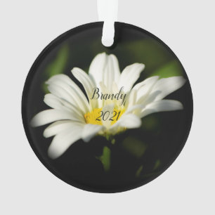 Ornamento Acrílico De Daisy Round De Oxeye