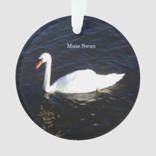 ornamento acrílico de Mute Swan
