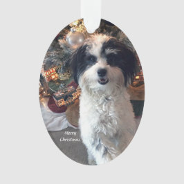 Ornamento acrílico do Feliz Natal, cão bonito