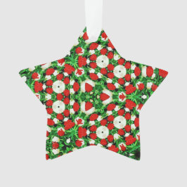 Ornamento Acrylic Ornament