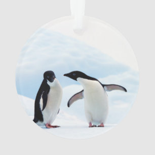 Ornamento Adelie Penguins