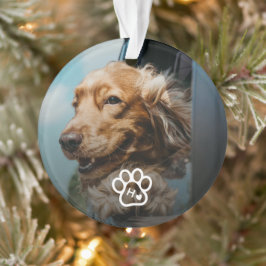 Ornamento Adicione sua própria foto de monograma de cães Pet