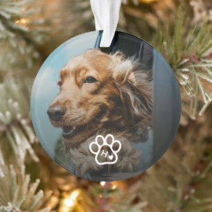Ornamento Adicione sua própria foto de monograma de cães Pet