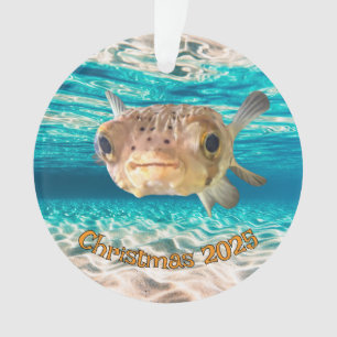 Ornamento Advertência Enganadora De Peixe Enganado Enganado
