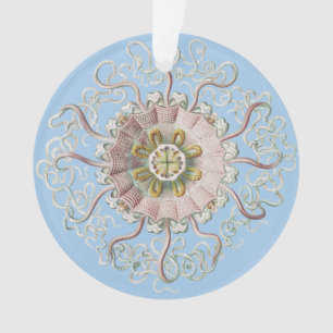 Ornamento Água-viva Rosa-Náutica de Ernst Haeckel Medusa