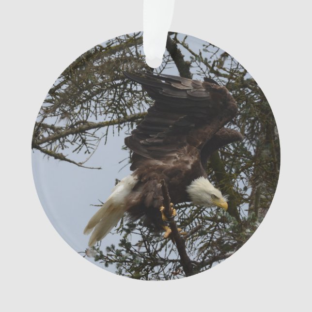 Ornamento Águia americana de Alaska EUA (Frente)