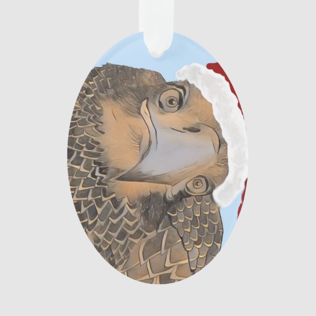 Ornamento Águia Balda SWFL Que É Aquela Águia Bonita, E9 (Frente)