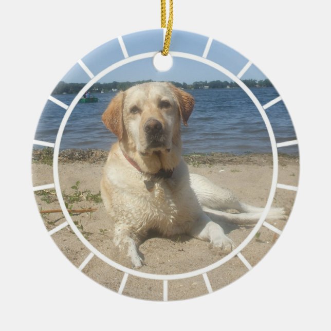 Ornamento amarelo de labrador retriever (Frente)