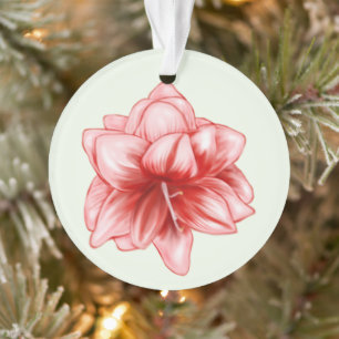 Ornamento Amarilis branco e rosa ilustrados