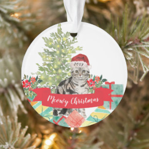 Ornamento American Shorthair Brown Tabby Christmas