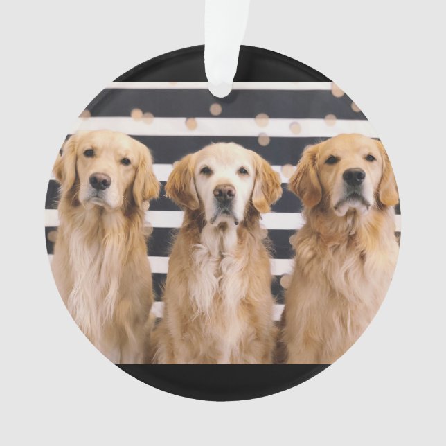 Ornamento Amor para Ouro (Frente)