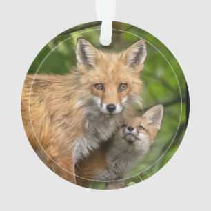 Ornamento Amor Pelo Pai