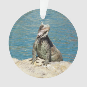 Ornamento Animais selvagens tropicais da iguana