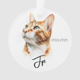 Ornamento Anjos Com Rabos – Lembrança Memorial de Pet
