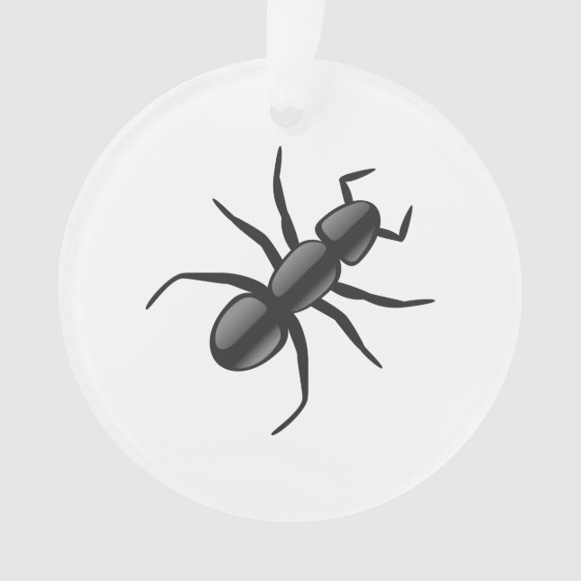 Ornamento Ant (Frente)