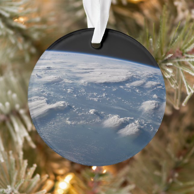 Ornamento Antilhas Da Terra Na Bacia Do Sul. (Árvore)