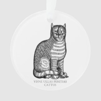 Ornamento Antiquado de Gato