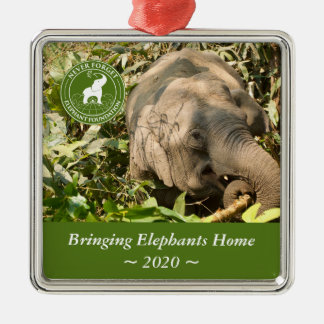 Ornamento ao quadrado NFEF