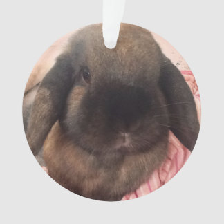 Ornamento Aprecie ter esta cara pequena pendurar em sua