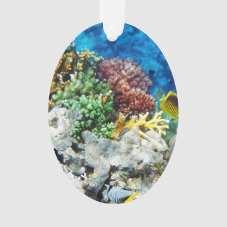 Ornamento Aquário coral