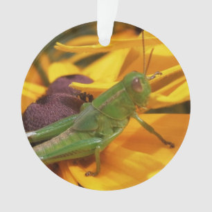 Ornamento Aqui está Olhando para você - Gafanhoto