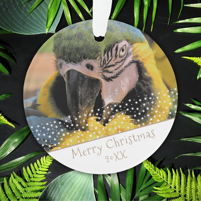 Ornamento Ara Parrot Pet Photo Star No Natal Keepsasaet (Criador carregado)