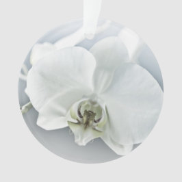 Ornamento Arte Botânica de Orquídea Branca Elegante