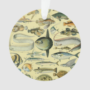Ornamento Arte De Pesca Científica Dos Peixes Vintage