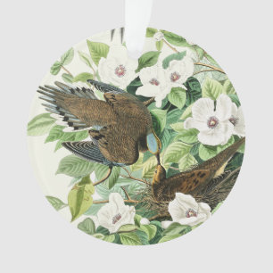 Ornamento Arte Floral de Pássaro do Pombo em Luto Audubon Vi