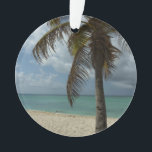 Ornamento Aruban Beach I Linda cena natural<br><div class="desc">Às vezes você só quer sair para um lugar quente e tropical, e esta imagem resume a experiência. Esta cena tropical mostra a praia de areia branca de Aruba com palmeira de coco. Veja na nossa loja mais fotos calmantes de praia. Esta imagem também é apresentada como o wallpaper widescreen...</div>