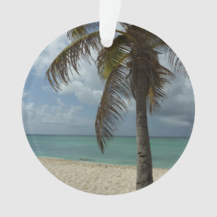 Ornamento Aruban Beach I Linda cena natural