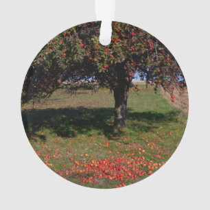 Ornamento Árvore de Apple velha