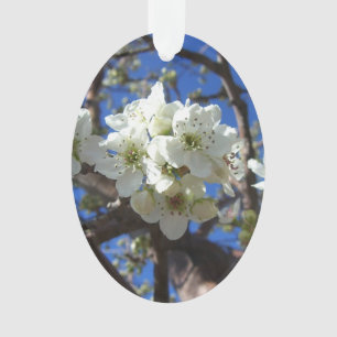 Ornamento Árvore de pera de Primavera de Flor em Clusters B
