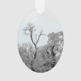 Ornamento Árvores cobertas de neve