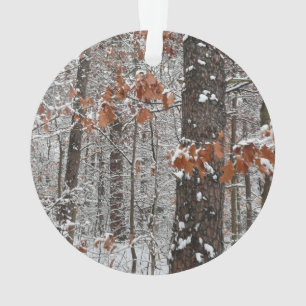 Ornamento Árvores de carvalho cobertas por neve Fotografia d