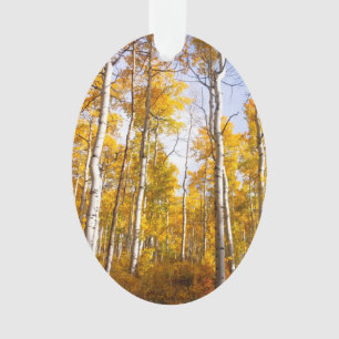 Ornamento Aspire as folhas de queda amarelas do Groove