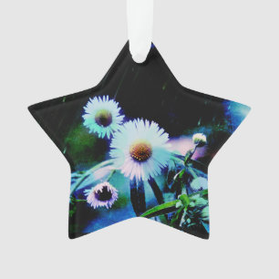 Ornamento Asters Aglow Star Ornament