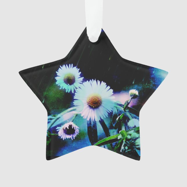Ornamento Asters Aglow Star Ornament (Frente)