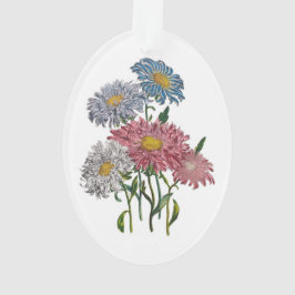Ornamento Astros da China